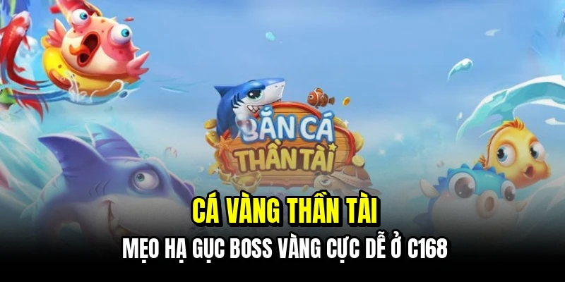 Cá Vàng Thần Tài - Mẹo Săn Boss Vàng Nhận Lộc Phát Từ C168 4 Cá vàng Thần Tài - Mẹo hạ gục Boss vàng cực dễ ở C168