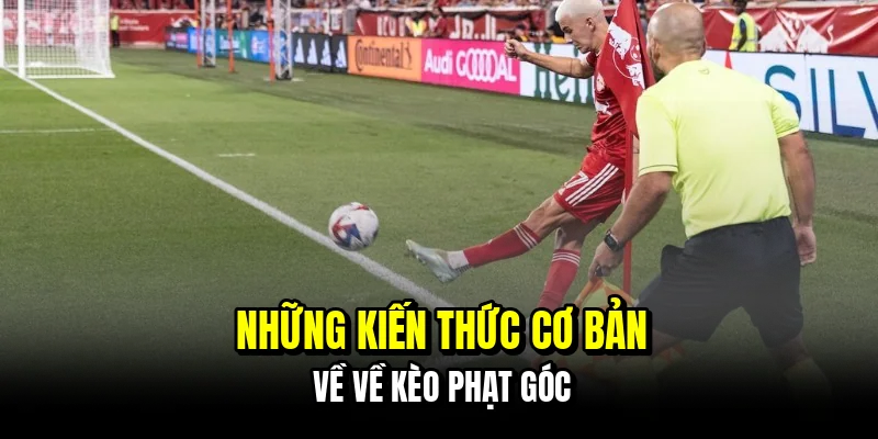 Kèo Phạt Góc - Cách Đọc Tình Huống Trận Đấu Để Thắng Dễ Dàng 5 Những kiến thức cơ bản về về kèo phạt góc